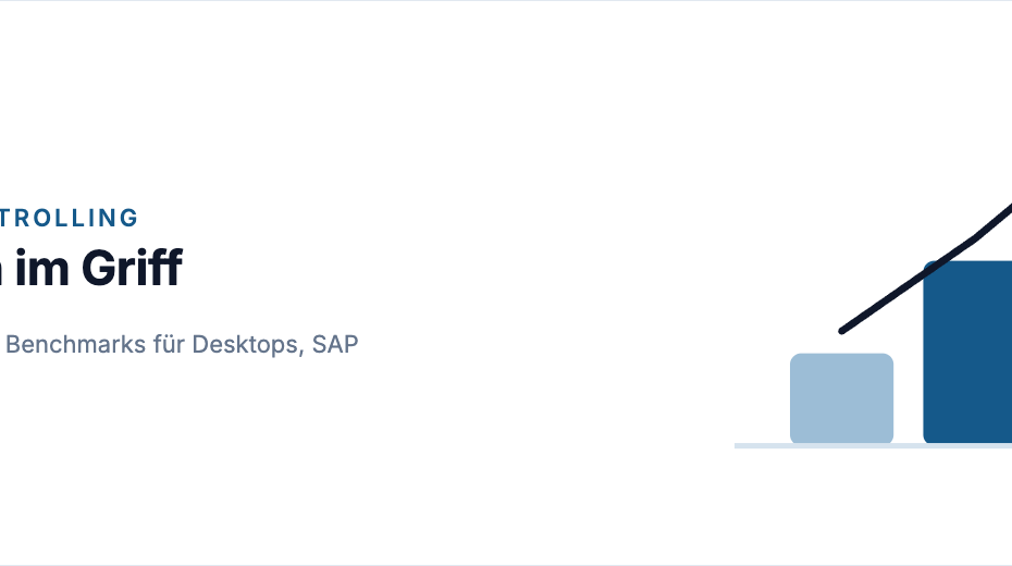 ICT-Kosten im Griff: Finanzkennzahlen und Benchmarks für Desktops, SAP und mehr